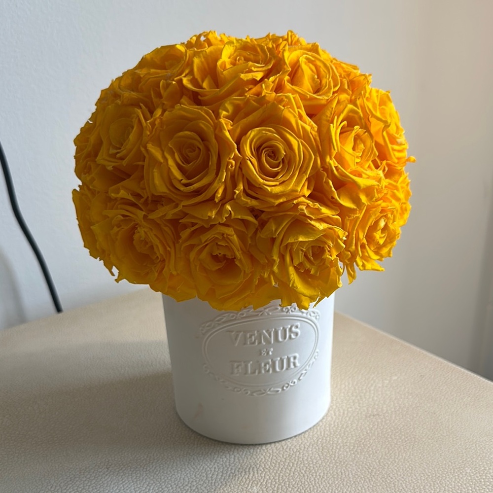 Venus et Fleur porcelain Rose Arrangement